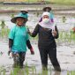 Foto. Gubernur Jawa Timur Khofifah Indar Parawansa saat tanam padi.