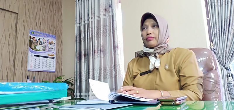 Foto. Direktur RSUD Moh Anwar, Dr Erliyati M.Kes (Sumber foto. Jejak.co) 