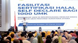 Foto : Alexander AP Siahaan/Diskominfo Provsu).