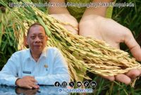 Foto. Kepala DKPP Sumenep, Chainur Rasyid, M.Si