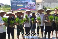Foto. Gerakan Menanam Padi Serentak di 14 Provinsi Bersama Presiden Republik Indonesia yang diselenggarakan Dinas Ketahanan Pangan Dan Pertanian (DKPP) kabupaten Sumenep. 