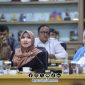 Foto. Dr Lia Istifhama, S.Sos.i., M.E.I