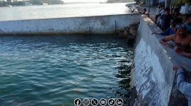 Foto. Sumber Air kecamatan Talango