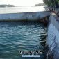 Foto. Sumber Air kecamatan Talango