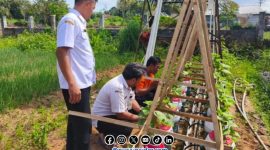 Foto. Inovasi BPP Kecamatan Banding bersama DKPP Sumenep dan Petani Setempat