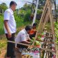 Foto. Inovasi BPP Kecamatan Banding bersama DKPP Sumenep dan Petani Setempat