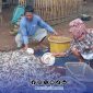 Foto. Hasil tangkapan Ikan Nelayan kepulauan Masalembu. 