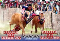 Foto. Karapan Sapi Piala Presiden Madura Cup 2025 di Sumenep
