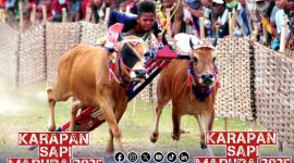Foto. Karapan Sapi Piala Presiden Madura Cup 2025 di Sumenep