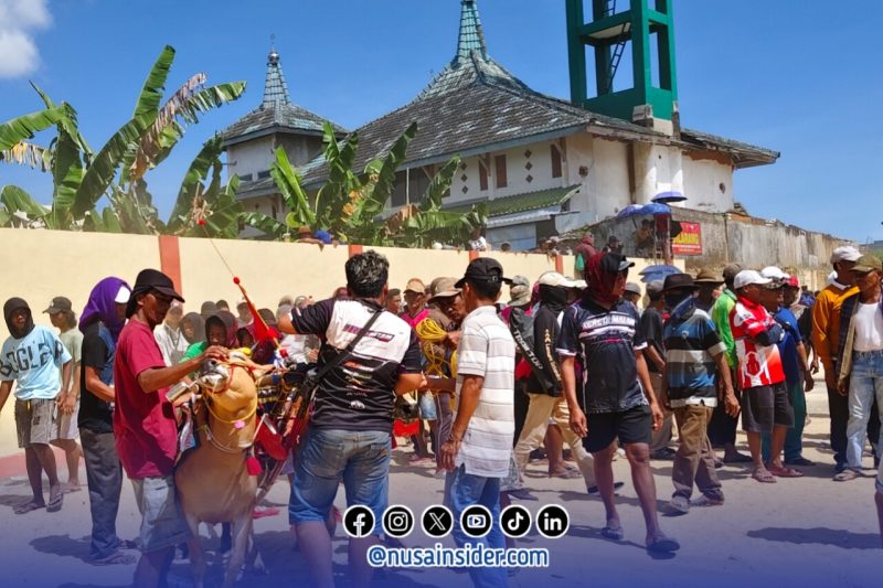 Foto. Salahsatu peserta Karapan Sapi kabupaten Sumenep 2025 saat menghentikan laju Sapi di garis Finish. 