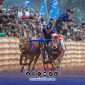 Foto. Kecepatan Sapi Milik Kereta Malam Asal Batuputih Sumenep di Ajang Kerapan Sapi tingkat Kabupaten Sumenep 2025