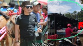 Foto. Pertunjukan Kerapan Sapi 2025 dan Pungutan Parkir Liar