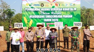 Foto. Penanaman Jagung Serentak Kuartal IVdl dalam rangka mendukung swasembada pangan Tahun 2025