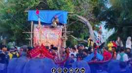 Foto. Kerapan Kerbau 2025 di kepulauan Kangean Sumenep Madura 