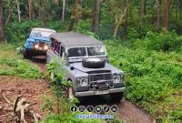 Foto. Armada Land Rover Series berwarna Abu-abu saat berada ditanjakan Licik dan Tikungan. 