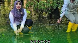 Foto. Anggota DPD RI, Dr Lia Istifhama Sapaan Akrab Ning Lia saat melakukan penanaman Mangrove di Manado. 