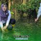 Foto. Anggota DPD RI, Dr Lia Istifhama Sapaan Akrab Ning Lia saat melakukan penanaman Mangrove di Manado. 