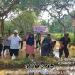 Foto. Gerakan Tanam padi DKPP Bersama BPP dan Koramil Dasuk Sumenep. 