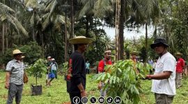 Foto. Darul Hasyim fath, Anggota DPRD Kabupaten Sumenep saat melakukan penanaman pohon kelengkeng di Pulau Masakambing, Kecamatan Masalembu, Kabupaten Sumenep.