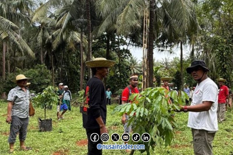 Foto. Darul Hasyim fath, Anggota DPRD Kabupaten Sumenep saat melakukan penanaman pohon kelengkeng di Pulau Masakambing, Kecamatan Masalembu, Kabupaten Sumenep.