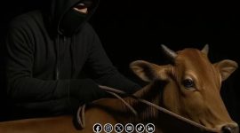 Foto. Ilustrasi