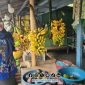 Foto. Anggota DPD/MPR RI, Dr Lia Istifhama, S.Sos., S.Sos.i., M.E.I