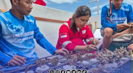 Foto. penanaman terumbu karang Kangean energy Indonesia (PT KEI) di desa Pagerungan - Sapeken 