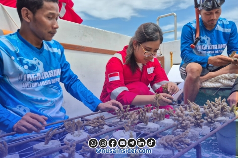 Foto. penanaman terumbu karang Kangean energy Indonesia (PT KEI) di desa Pagerungan - Sapeken 