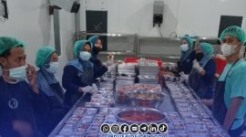 Foto. Persiapan Sajian Makanan Bergizi Gratis (MBG) di desa dasuk laok kecamatan Dasuk Sumenep.