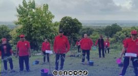 Foto. Aksi Tanam Pohon DPC PDI Perjuangan di Sumenep