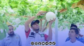 Foto. Bupati Sumenep kunjungi Smart Farming Hortikultura di desa Kasengan Manding