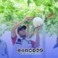 Foto. Bupati Sumenep kunjungi Smart Farming Hortikultura di desa Kasengan Manding