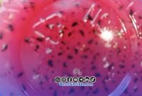 Foto. Puding Buah Naga yang diduga Berulat milik SPPG Yayasan sosial rumah sejahtera Santri NU Ganding Sumenep