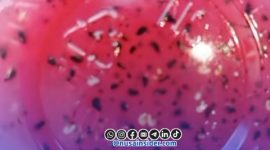 Foto. Puding Buah Naga yang diduga Berulat milik SPPG Yayasan sosial rumah sejahtera Santri NU Ganding Sumenep