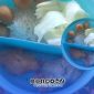 Foto. Screenshot Video Laporan Sajian Menu Makanan Bergizi Gratis (MBG) SPPG Pordapor dari Wali Siswa setempat. 