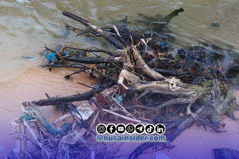Foto. Tampak Kayu Tajam di Area Bibir Sumber mata Air Wisata pantai Badur Sumenep