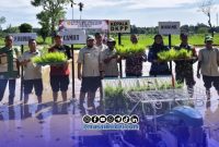 Foto. Kegiatan Oplah 2026 Dinas ketahanan pangan dan pertanian (DKPP) kabupaten Sumenep di kecamatan Ambunten
