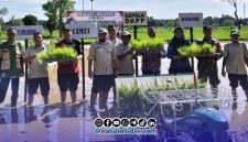 Foto. Kegiatan Oplah 2026 Dinas ketahanan pangan dan pertanian (DKPP) kabupaten Sumenep di kecamatan Ambunten