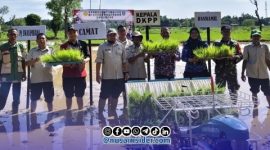 Foto. Kegiatan Oplah 2026 Dinas ketahanan pangan dan pertanian (DKPP) kabupaten Sumenep di kecamatan Ambunten