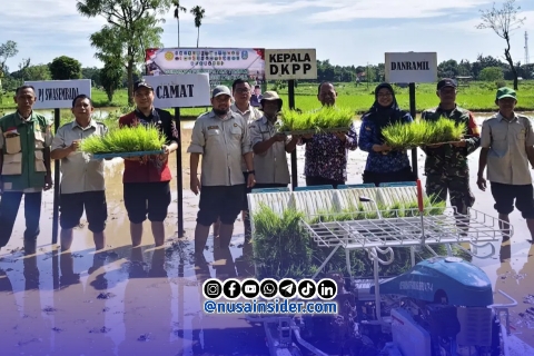 Foto. Kegiatan Oplah 2026 Dinas ketahanan pangan dan pertanian (DKPP) kabupaten Sumenep di kecamatan Ambunten