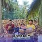 Foto. Proses sertifikasi Benin bibit kelapa dalam 