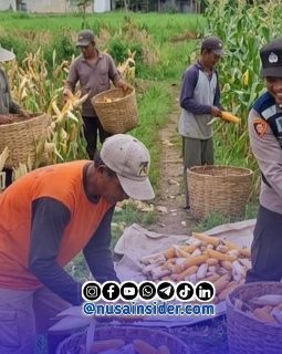 berita-rekomendasi-foto