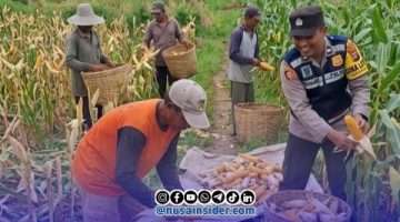 Foto. Bhabinkamtibmas Batuan saat Bersama Petani setempat. 