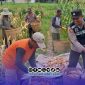 Foto. Bhabinkamtibmas Batuan saat Bersama Petani setempat. 