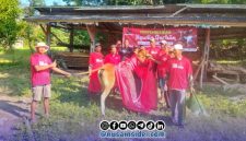 Foto. Penyembelihan Hewan Kurban PAC PDI Perjuangan Kepulauan Sapudi Sumenep