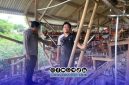 Sumber Foto. Humas Polres Sumenep