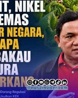 berita-rekomendasi-foto