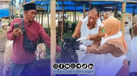 Foto. Chainur Rasyid, M.Si Kepala DKPP Sumenep saat melakukan Pemantauan Hewan Qurban