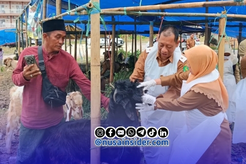 Foto. Chainur Rasyid, M.Si Kepala DKPP Sumenep saat melakukan Pemantauan Hewan Qurban