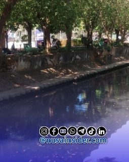 berita-rekomendasi-foto